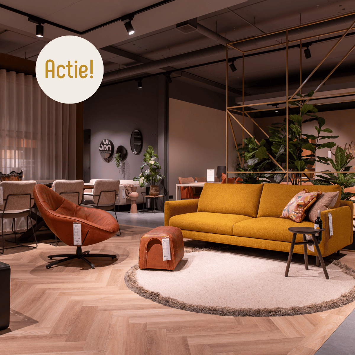 Summer Sale op Showroommodellen